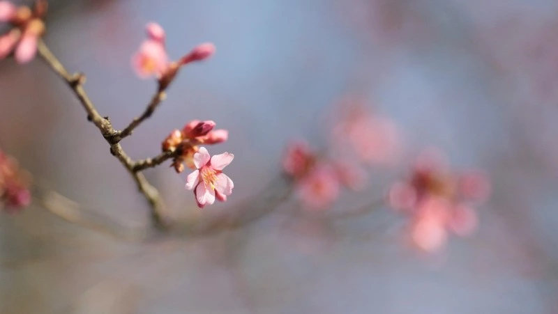 Народные приметы на 23 мая 2025 года — что нельзя делать в Симонов день 