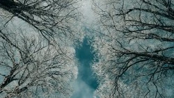 Местами метель и снег: погода в Сахалинской области на 27 февраля 