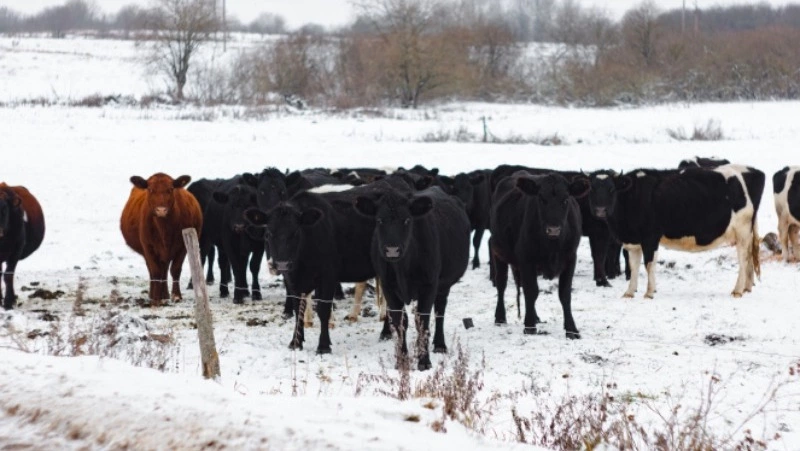 Народные приметы на 27 января 2025 года: почему в Нинин день нельзя лениться и долго спать