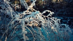 Снег и пронизывающий ветер: прогноз погоды в Сахалинской области на 21 февраля 