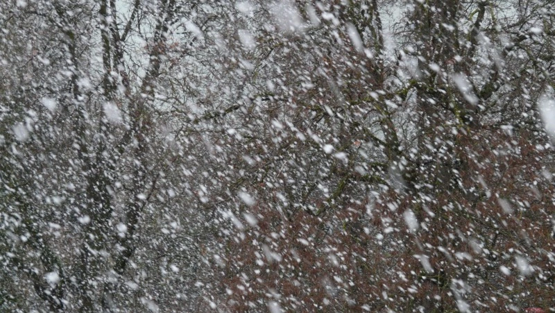 Местами очень сильный снег: погода в Сахалинской области 27 декабря