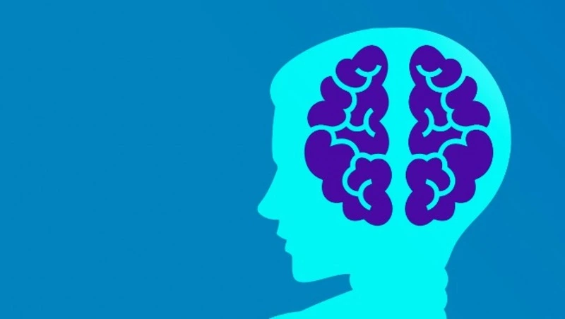 Только без калькулятора: сложная математическая головоломка для самых умных