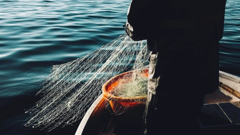 День рыбака в 2024 году: история, традиции, интересные факты о празднике   