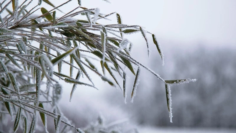 Крепкий ветер и мороз до -28 градусов: прогноз погоды в Сахалинской области на 13 февраля 