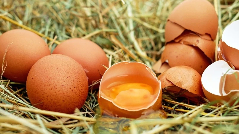 Народные приметы 30 июня 2025 года — что строго нельзя делать в день Мануйло и Савелия   