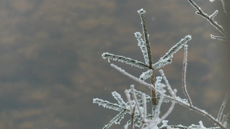 Погода в Сахалинской области 19 февраля: на юге — крепкий ветер, на севере — метель