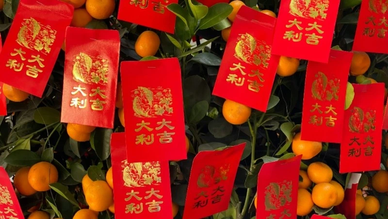 Что подарить на Китайский Новый год 2025: лучшие идеи, как привлечь удачу  