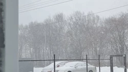 Метели, снег и сильный ветер охватят Сахалинскую область 5 февраля 