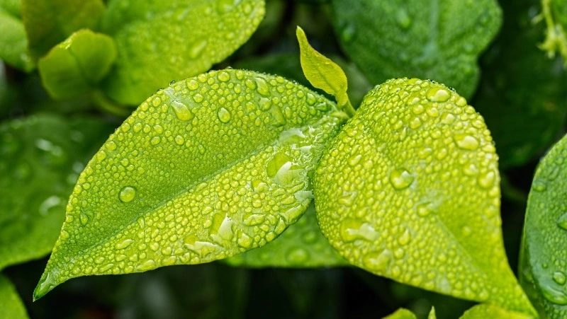 Порывистый ветер и солнце ожидают в Сахалинской области 3 сентября