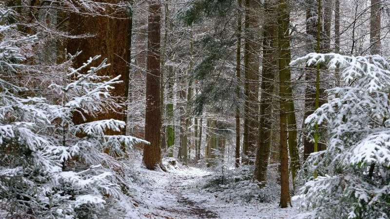 Народные приметы на 14 марта 2024 года: что нельзя делать