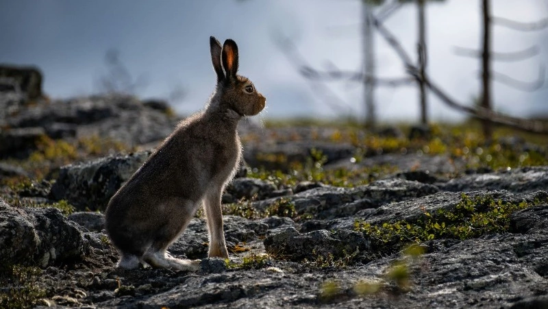 Народные приметы на 12 октября 2024 года: традиции, что можно и нельзя делать в этот день 