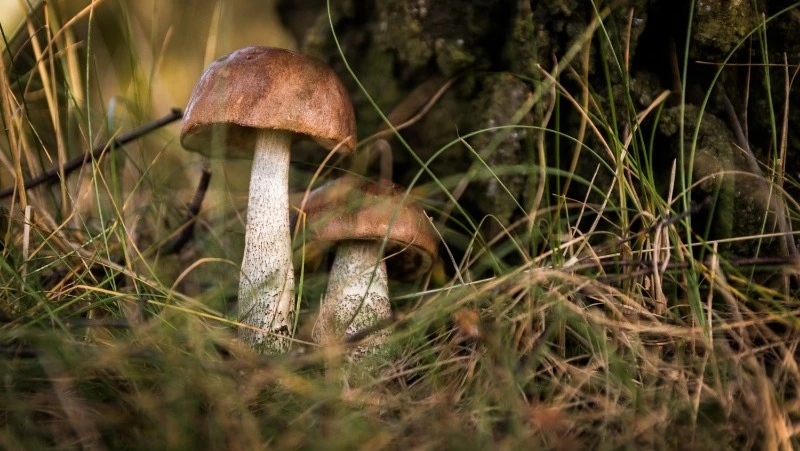 Народные приметы на 27 июля 2024 года: традиции, что можно и нельзя делать в день Акилы   