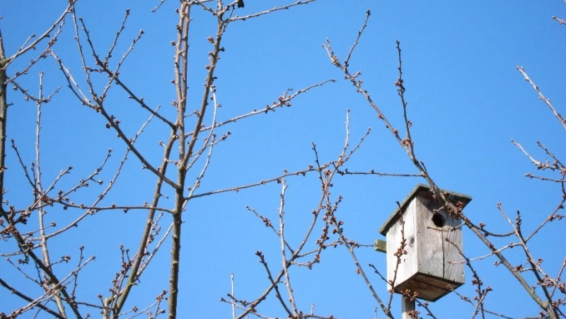 Народные приметы на 2 апреля 2024 года: что нельзя делать 