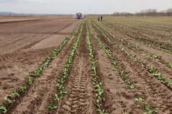 В Сахалинской области проходит большая посевная