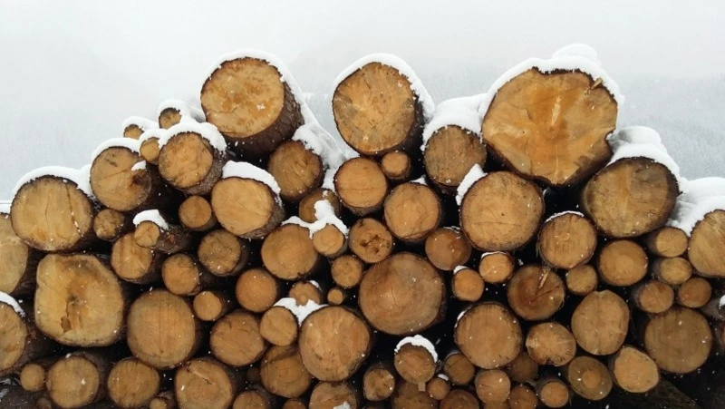 Народные приметы на 12 декабря 2024 года: почему опасно подметать пол в этот день 