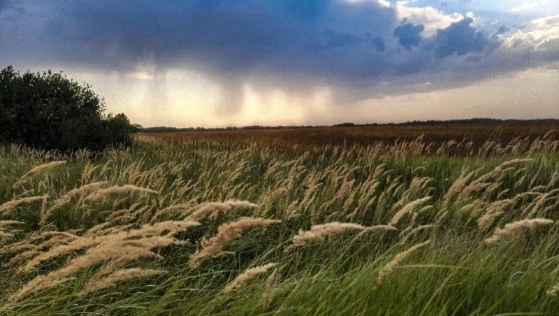 Народные приметы на 26 июля 2024 года: традиции, что можно и нельзя делать в этот день 
