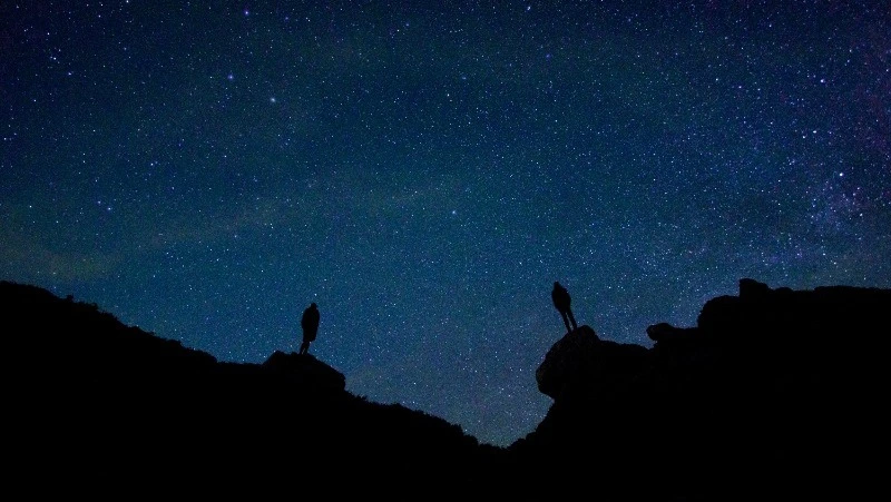 Гороскоп на 29 ноября 2023 года: что обещают астрологи