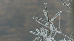 Погода в Сахалинской области 19 февраля: на юге — крепкий ветер, на севере — метель 