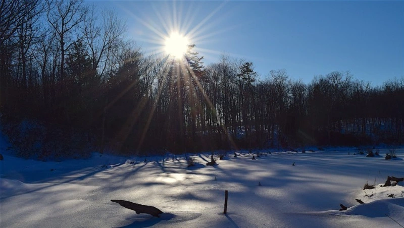 Синоптики озвучили прогноз погоды в Сахалинской области на 29 марта 