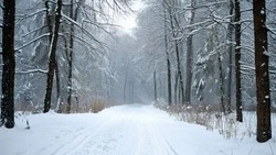 Циклон с Японии обрушит метель и сильный снег на Сахалин и Курилы 4 февраля 