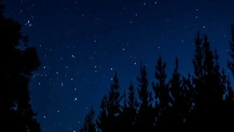 Гороскоп на 12 сентября 2024 года: у Тельцов — обострение, у Козерогов — расстановка приоритетов