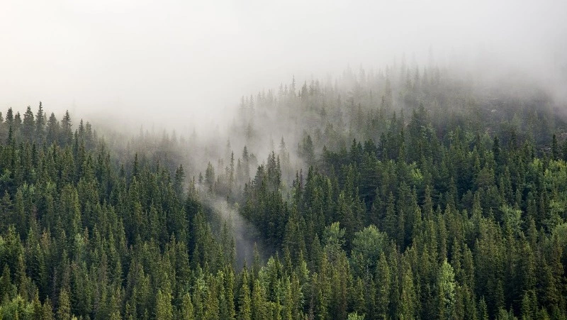 Народные приметы на 4 сентября 2024 года: традиции, что можно и нельзя делать в Агафонов день
