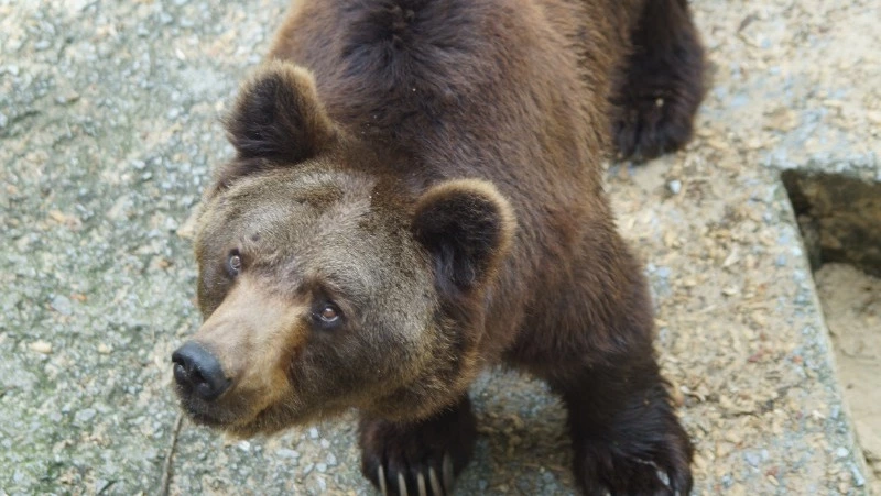 Народные приметы на 26 марта 2025: традиции, поверья, что нельзя делать в Никифоров день