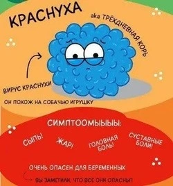 Профилактика краснухи