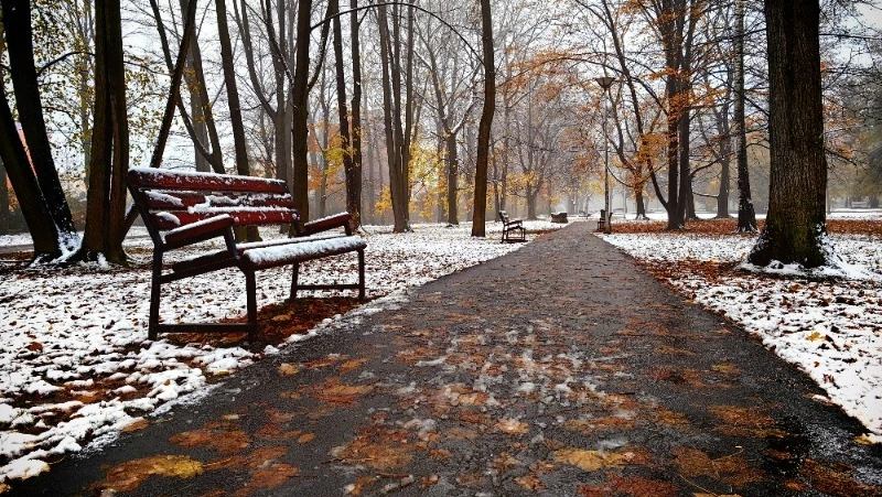 Народный календарь на ноябрь 2024: список праздников