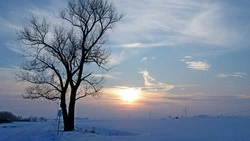 Синоптики дали тревожный прогноз в Сахалинской области на 26 декабря 