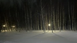 Снег и холодный ветер: прогноз погоды в Сахалинской области на 18 декабря 