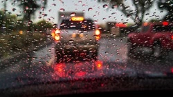 Дождь почти везде: непогода обойдет стороной только один район Сахалинской области 24 июля  