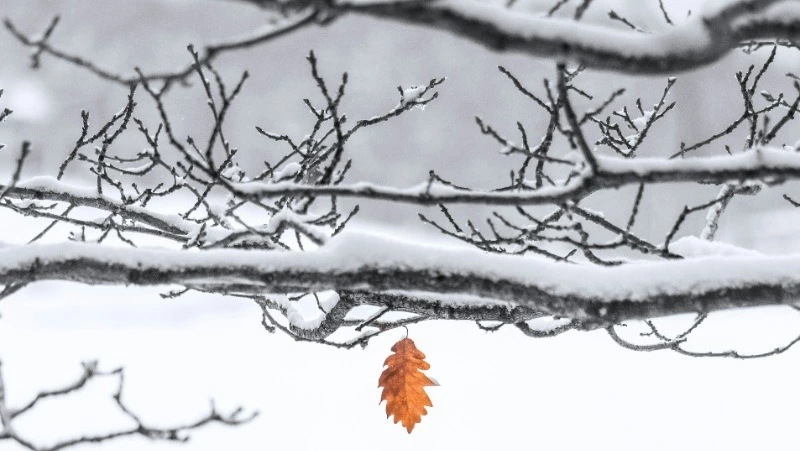 Морозы до -27 градусов и гололед: погода в Сахалинской области 5 декабря