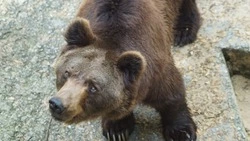 Народные приметы на 26 марта 2025: традиции, поверья, что нельзя делать в Никифоров день