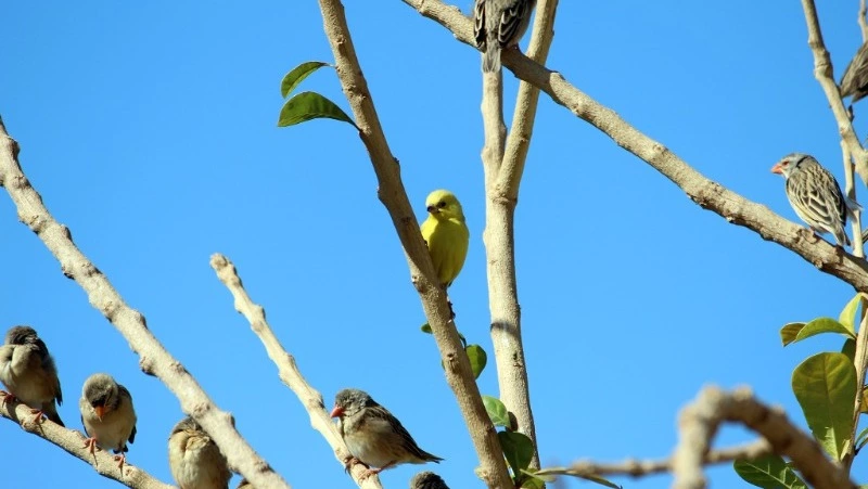 Народные приметы на 2 мая 2024 года: что нельзя делать 