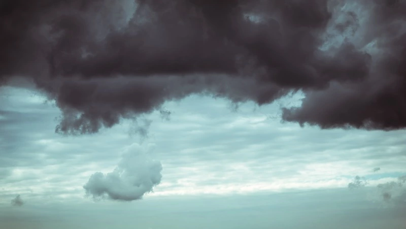 Зонт точно пригодится: синоптики рассказали о погоде в Сахалинской области 8 августа