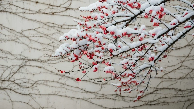 Народный и церковный праздник 6 марта 2024 года: приметы, что нельзя делать 