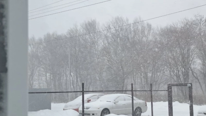 Активный циклон и теплый воздух: прогноз погоды в Сахалинской области на неделю 