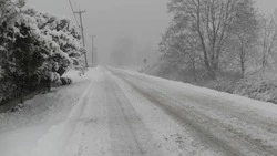 Сильный снег и -1 градус днем: погода в Сахалинской области 10 января 