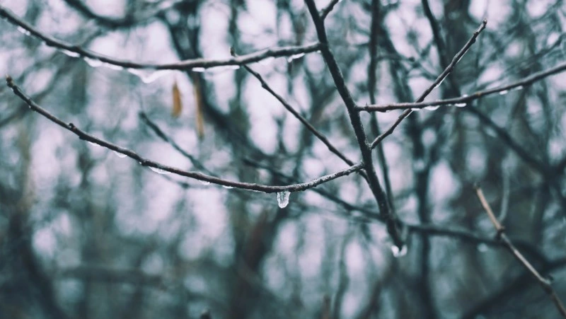 Мороз и усиление ветра пообещали жителям нескольких районов Сахалинской области 13 ноября 