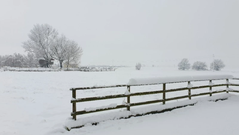 Циклон принесет сильную метель в Сахалинскую область 28 января        