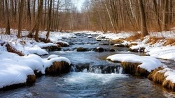 Народные приметы и поверья на 30 марта 2025 года — что нельзя делать в день Алексея Теплого  