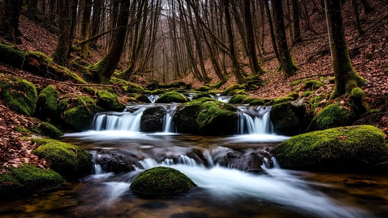 Народные приметы на 22 апреля 2025: традиции, поверья, что нельзя делать в день Вадима Ключника