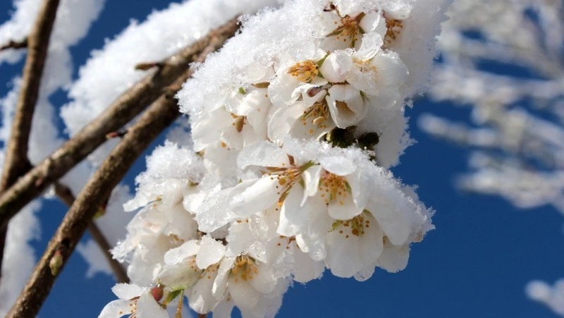 День весеннего равноденствия в 2024 году: традиции, приметы, гадания 