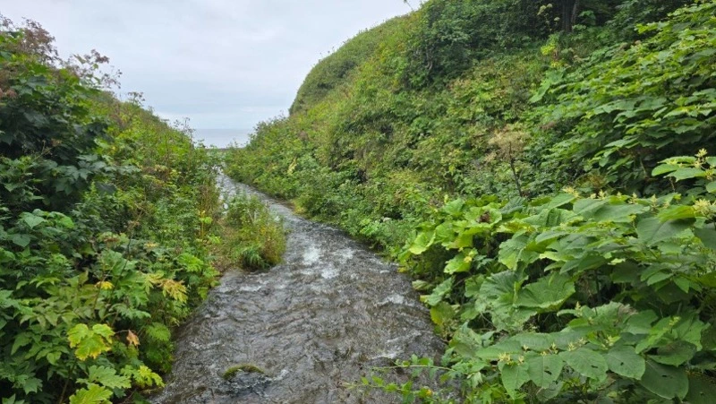 Дожди обрушатся на Сахалин и Курилы 22 августа