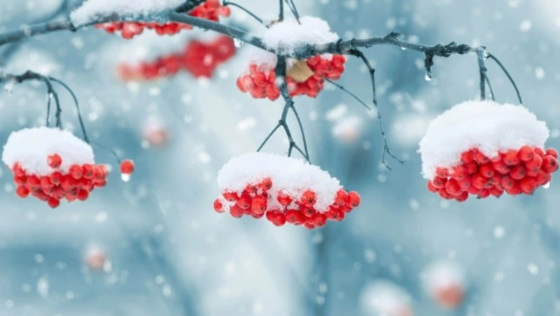 Народные приметы и поверья на 15 ноября 2024 года — что нельзя делать в Акиндинов день   