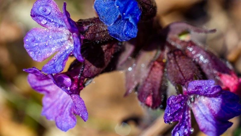 Народные приметы на 26 апреля 2024 года: что нельзя делать 