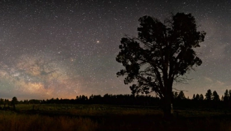 Гороскоп для всех знаков зодиака на 22 августа 2024 года