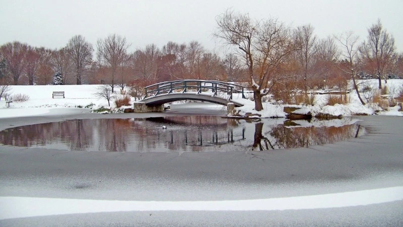 Народные приметы и поверья на 28 ноября 2024 года — что нельзя делать в Гурьев день  