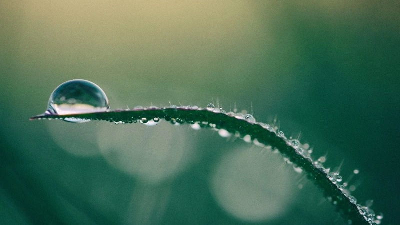 Дождь и сильный ветер: прогноз погоды в Сахалинской области на 6 сентября